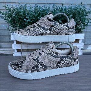All Saints Trish Leather Snake Print Platform Sneaker